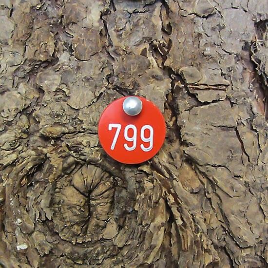 Alu Tree Number Badge Round 20 mm