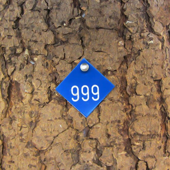 Alu Tree Number Badge Diamond 30 mm