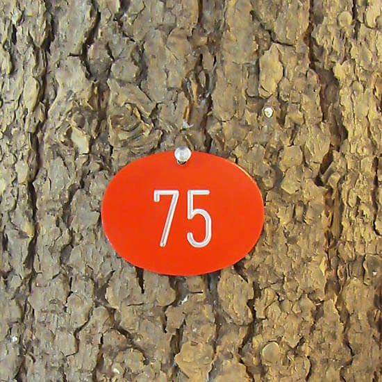 Alu Tree Number Badge Oval 63 mm